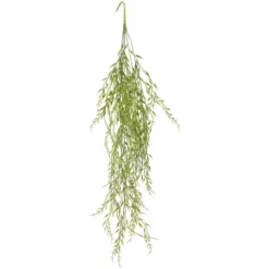 Dekorheng grønn plante Grass