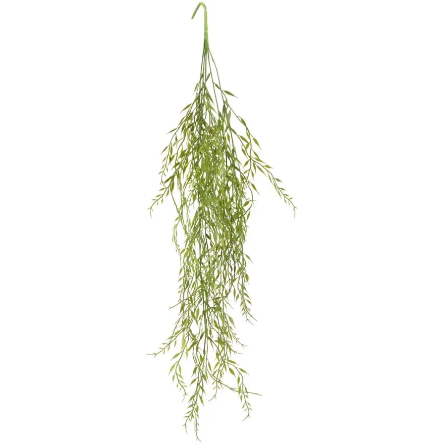 Dekorheng grønn plante Grass