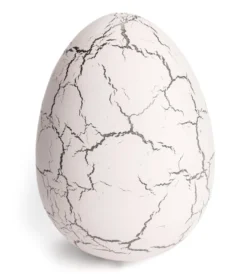 Dinosauregg voksende