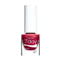 Holiday Selection 7day 2025