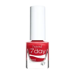 Holiday Selection 7day 2025