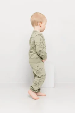 Joggedress med dinosaur print