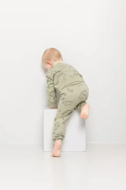 Joggedress med dinosaur print