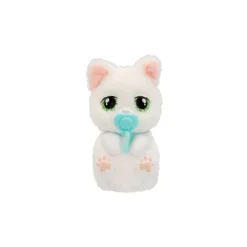 Just Born Cat