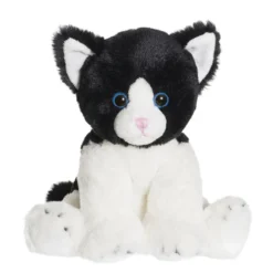 Katten Moje