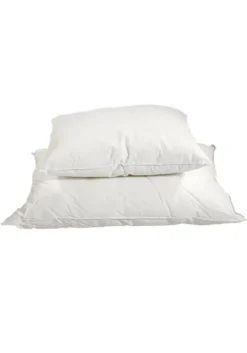 Polar Folkepute