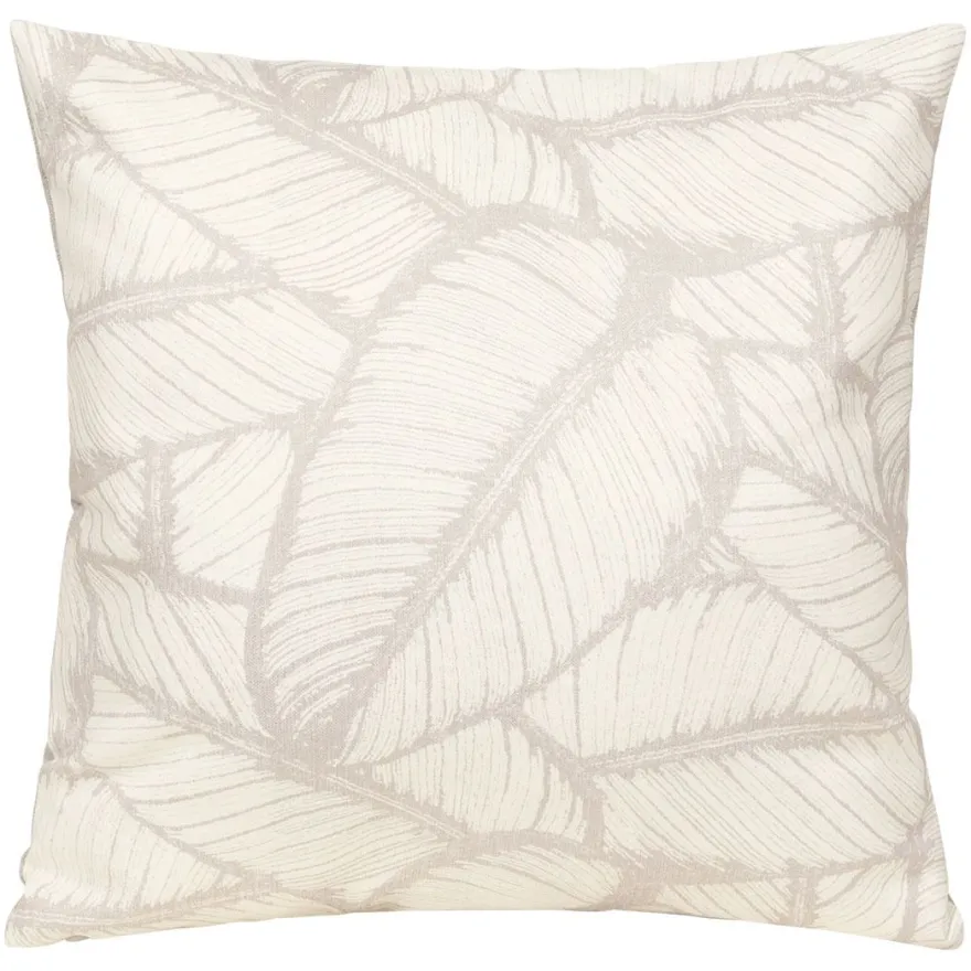 Putetrekk Tett Ficus Elastica