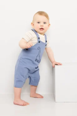Seleshorts med dinosaur