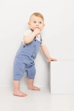 Seleshorts med dinosaur