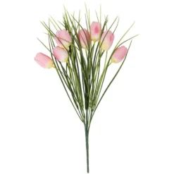 Tulipaner