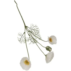 Valmuer