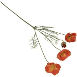 Valmuer