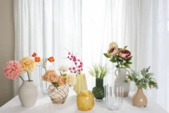 Vase Field
