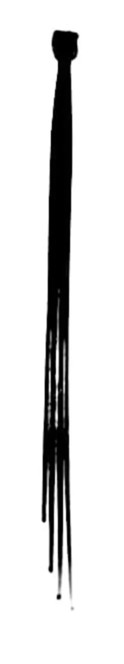 Vipper Charm